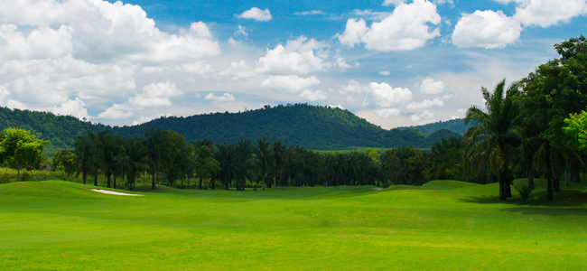 greenwood_DSC9658.jpg