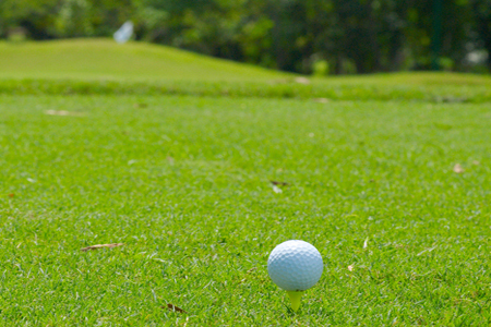 Click to enlarge http://www.gwgolfclub.com/images/stories/general/greenwood_DSC9504.jpg